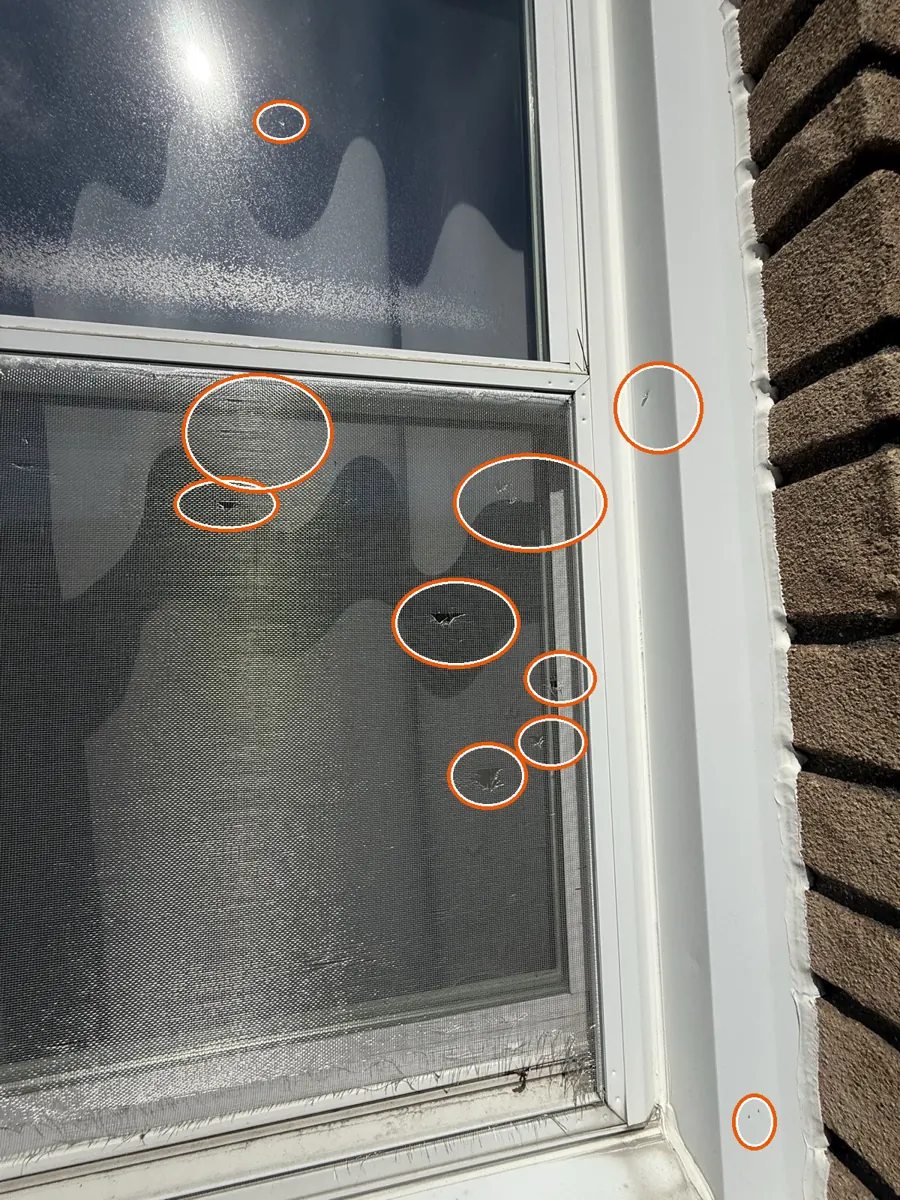 Hits on the siding or window screens, circled on a C&N Construction job photo in the Chicago suburbs