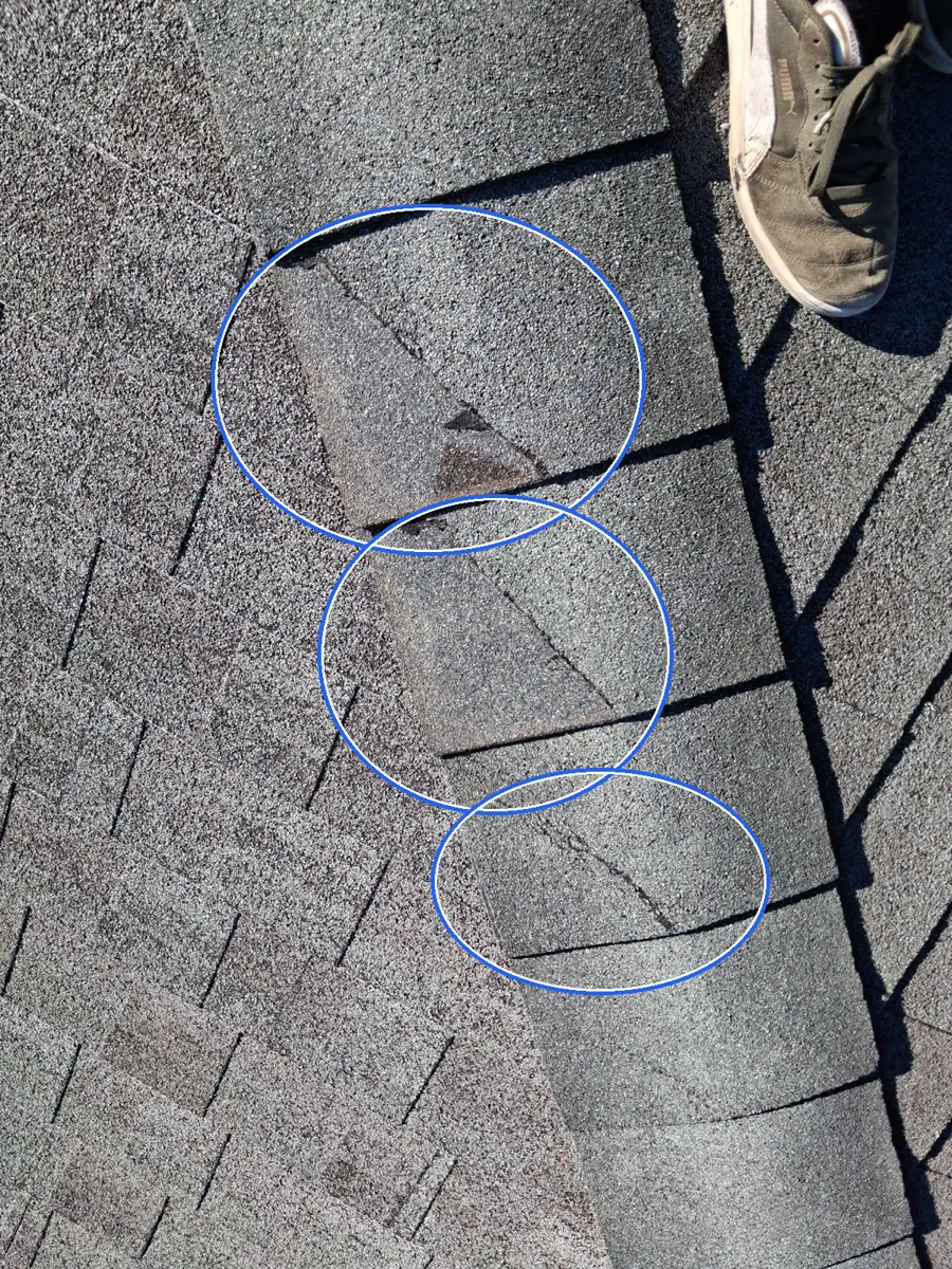 Missing shingles, and creased shingle tabs, circled on a C&N Construction job photo in the Chicago suburbs