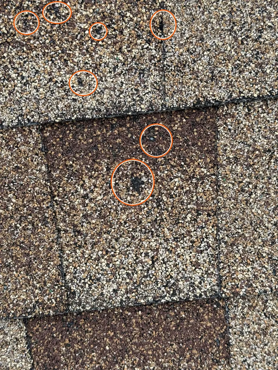 Round, scattered bruises, circled on a C&N Construction job photo in Carol Stream, IL