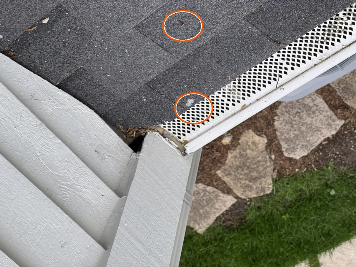 Round, scattered bruises, circled on a C&N Construction job photo in Downers Grove, IL