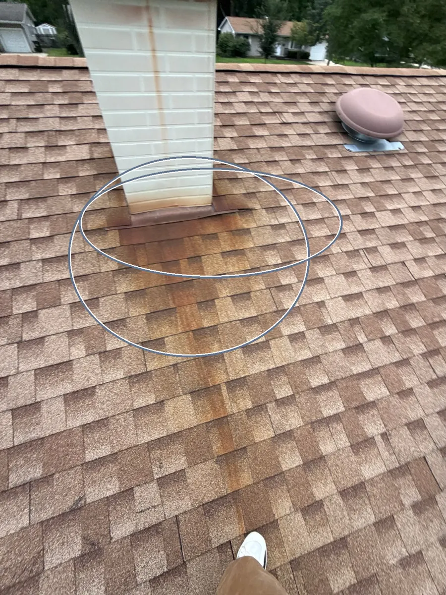Algae or moss, and curling or cupping shingles, circled on a C&N Construction job photo in Carol Stream, IL