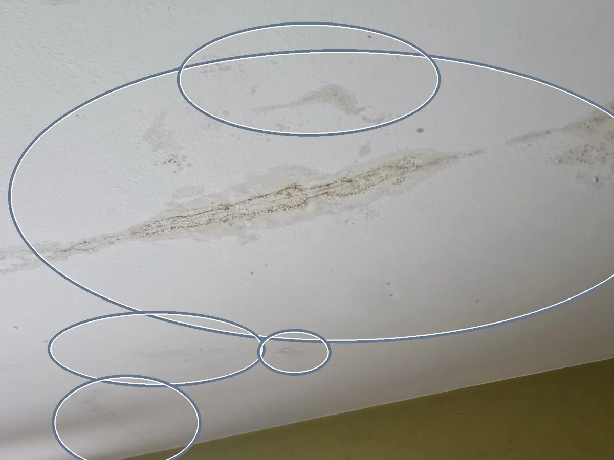 Curling or cupping shingles, circled on a C&N Construction job photo in Chicago, IL