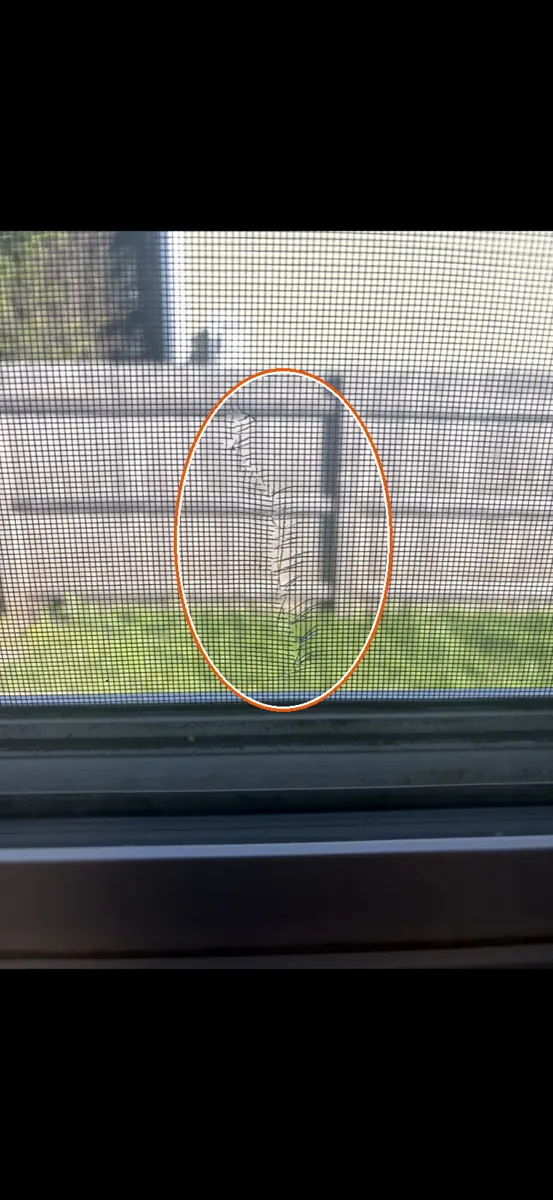 Hits on the siding or window screens, circled on a C&N Construction job photo in the Chicago suburbs