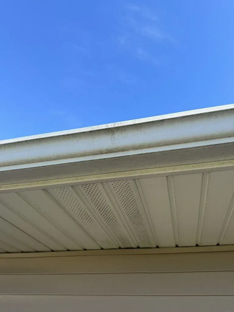 Gutter and soffit detail during documentation