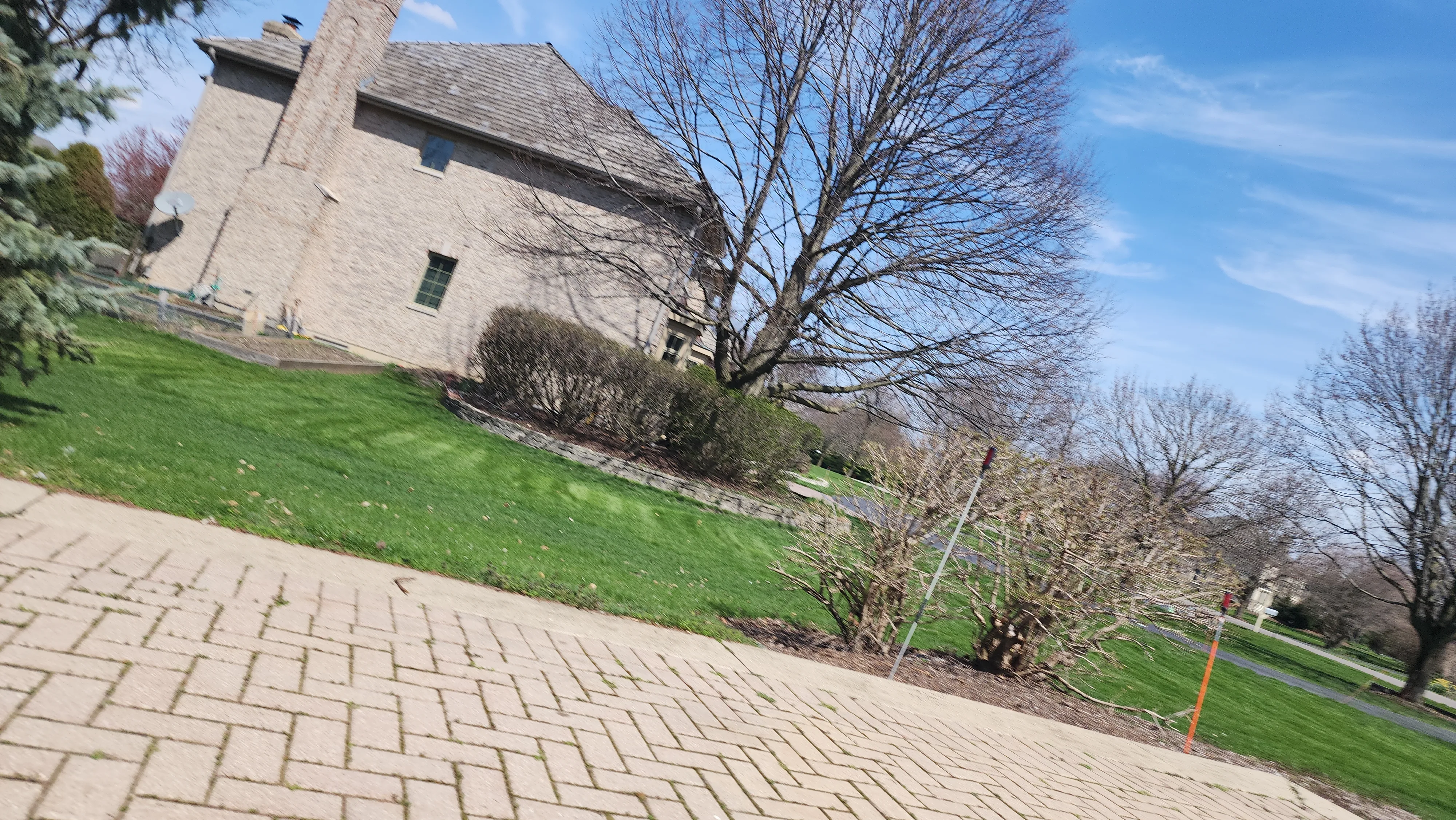 Residential property showing trees near roof