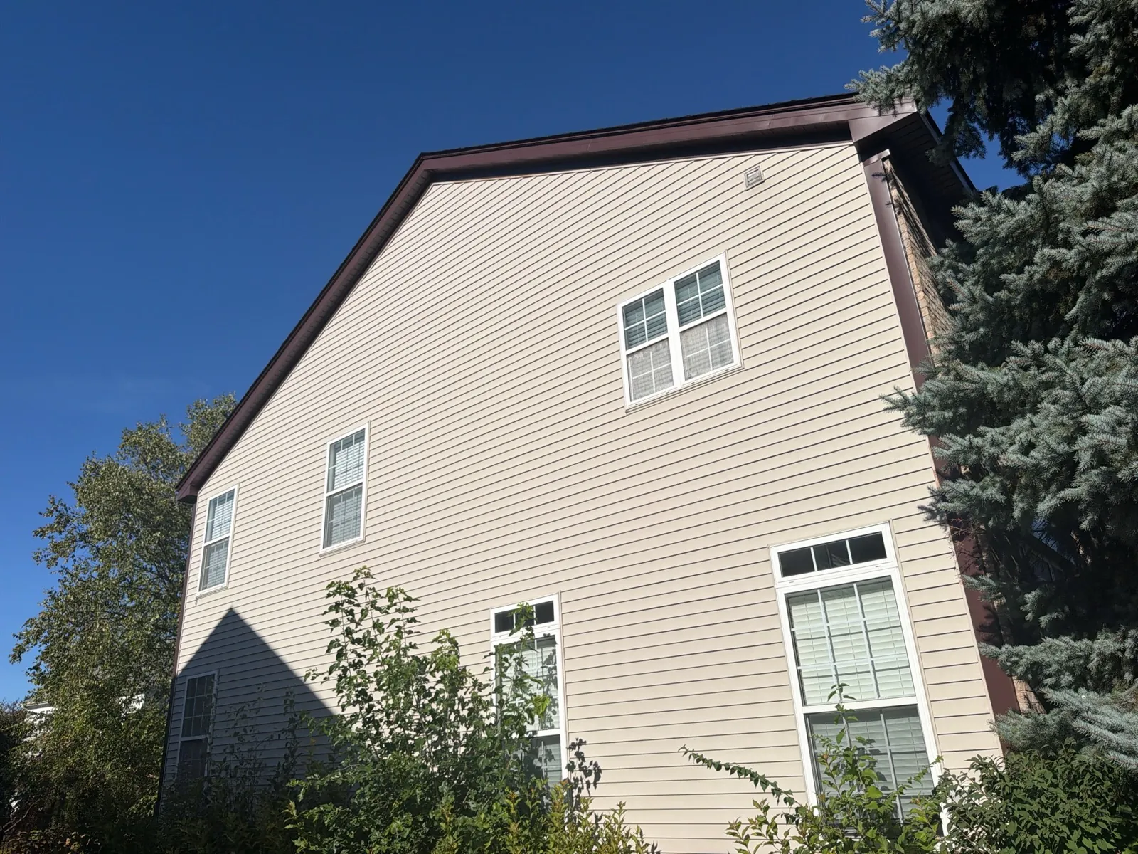 Beige vinyl siding on a multi-story home with white-trimmed windows in Bartlett, IL