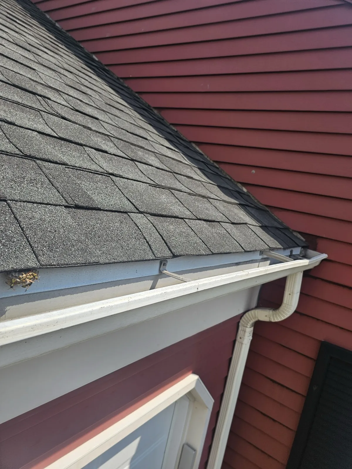 New charcoal architectural shingle roof installed on a house with red siding in Downers Grove, IL