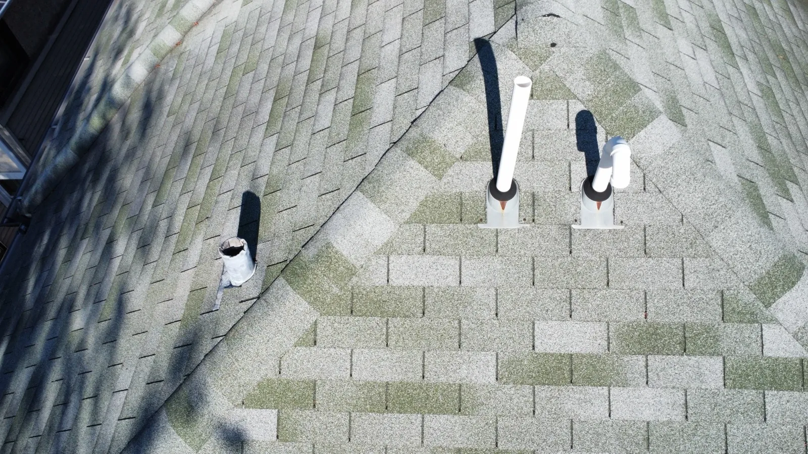 A close-up view of a gray and green architectural shingle roof with installed vent pipes in Forest Park, IL