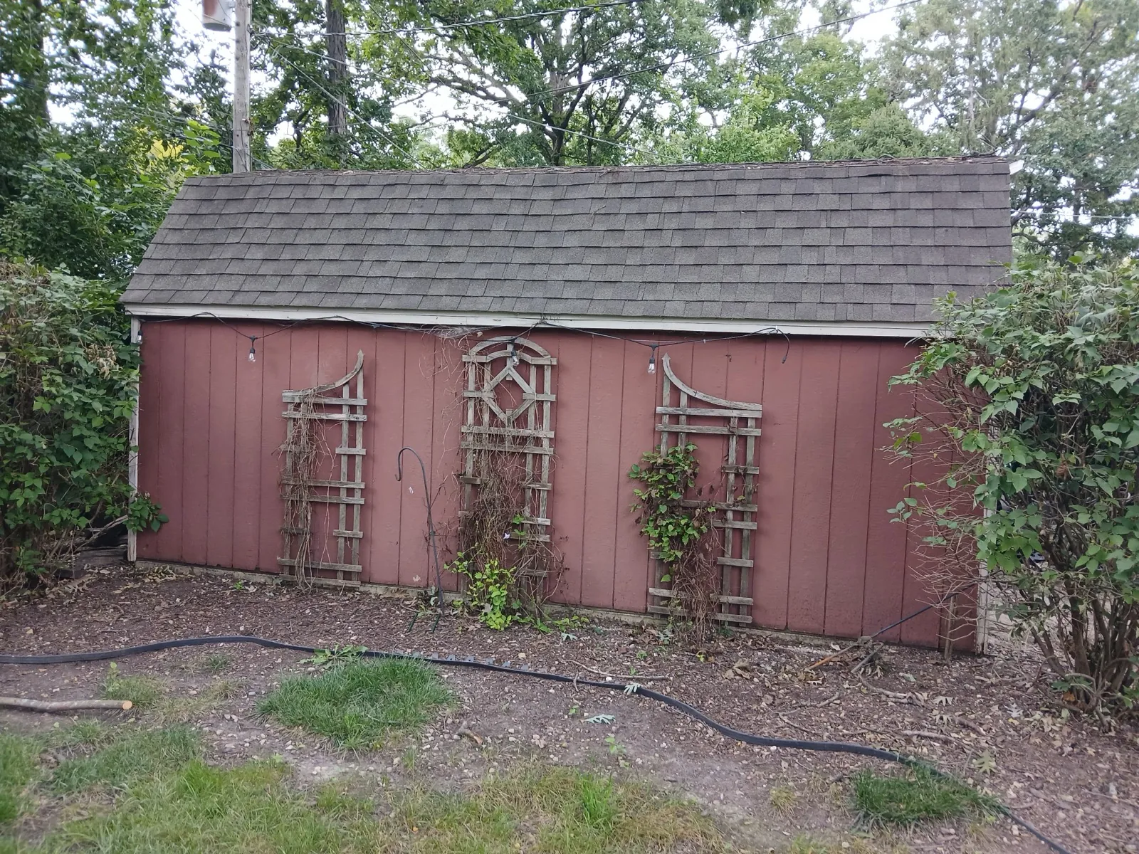 New gray asphalt architectural shingle roof on a small outbuilding in North Aurora, IL