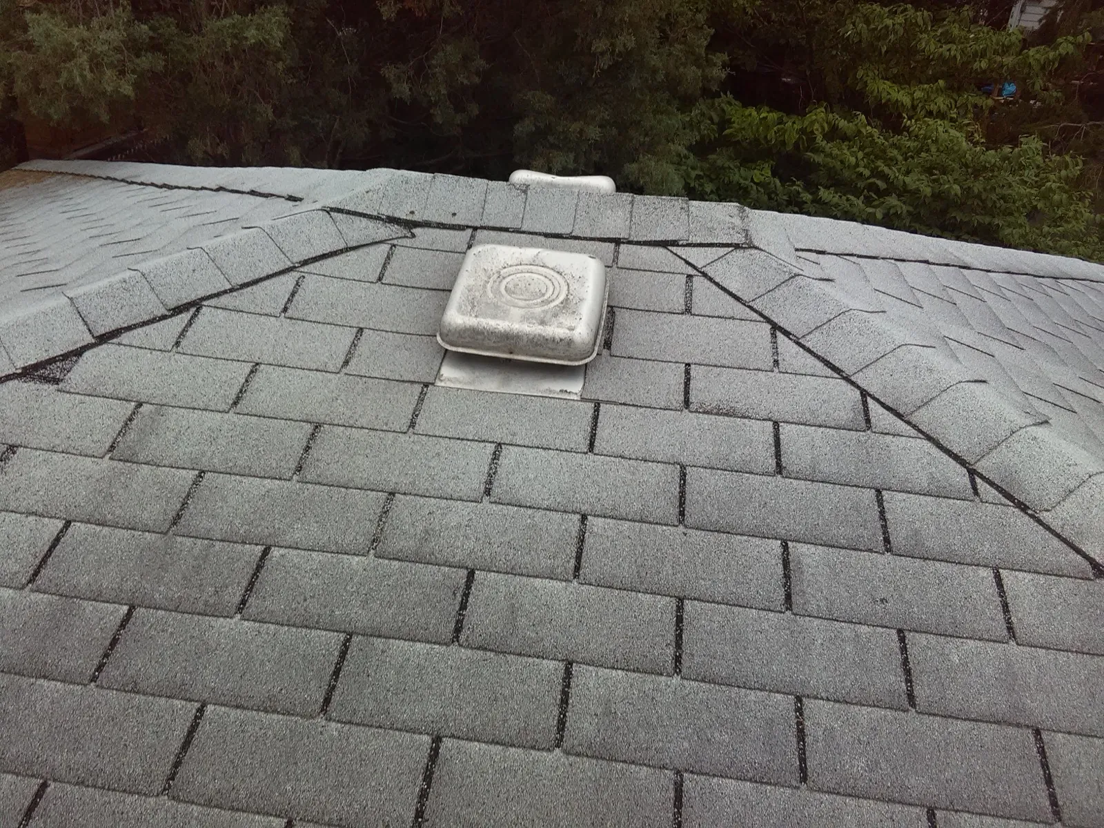Close-up of a gray asphalt architectural shingle roof with a roof vent in River Forest, IL