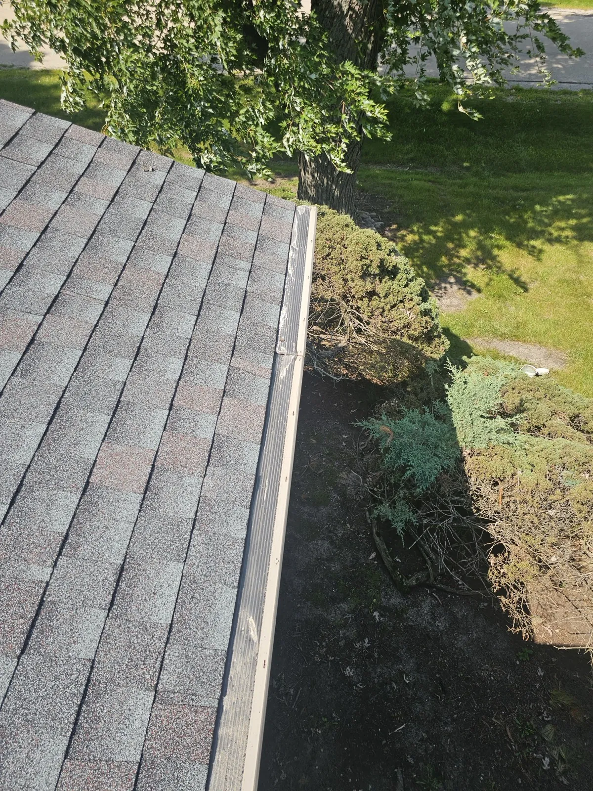 New charcoal architectural shingle roof with a clean edge in Willowbrook, IL